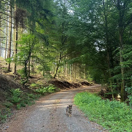 Silva - Dein Haus Am Wald * Hilchenbach